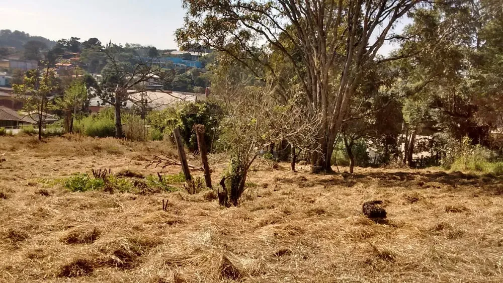 Terreno, 7885 m² - Foto 4