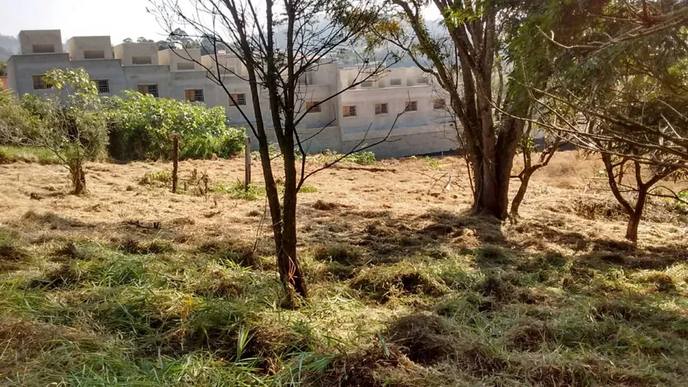 Terreno, 7885 m² - Foto 2