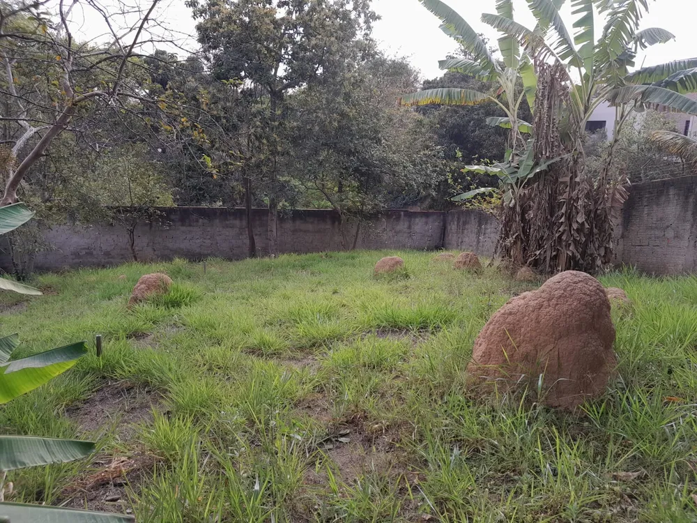 Terreno, 330 m² - Foto 6