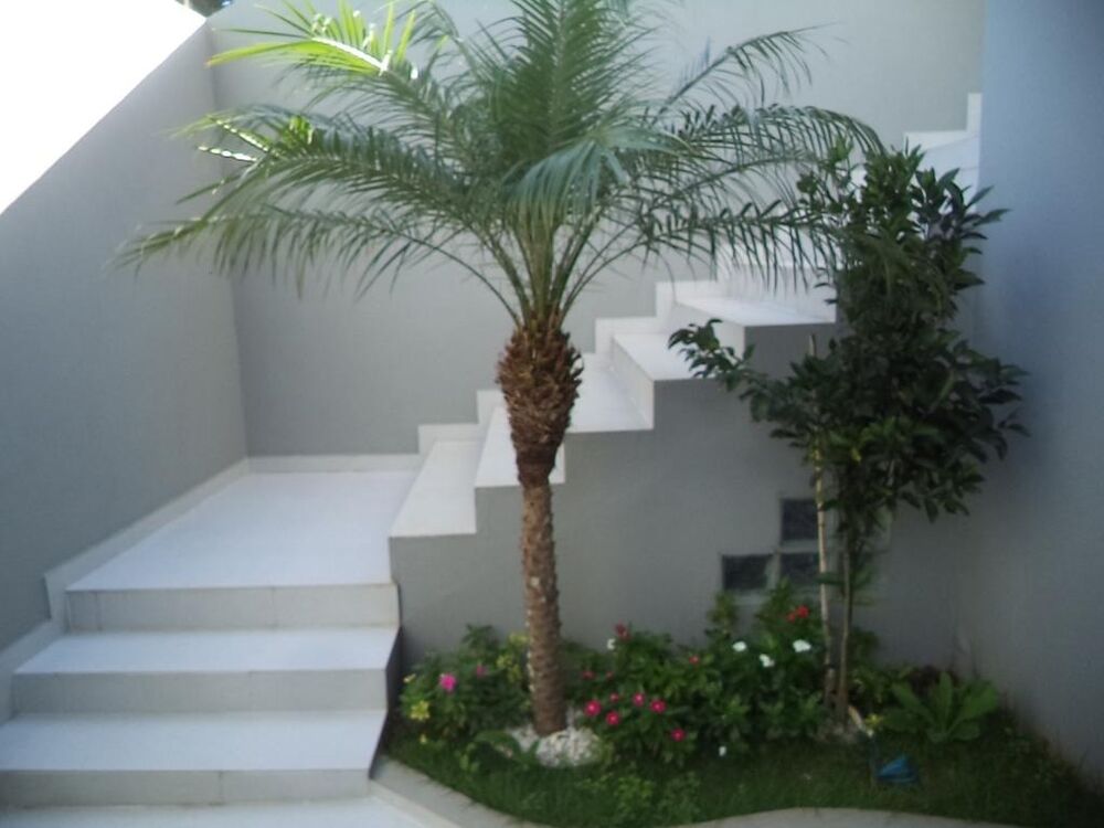 Casa, 4 quartos, 360 m² - Foto 7