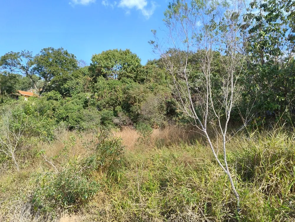 Terreno, 1000 m² - Foto 2