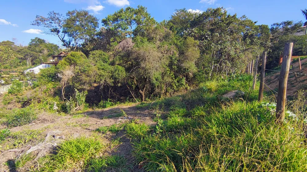 Terreno, 1000 m² - Foto 4
