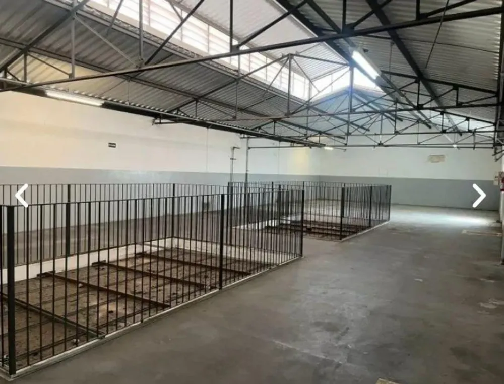 Depósito-Galpão - Foto 7