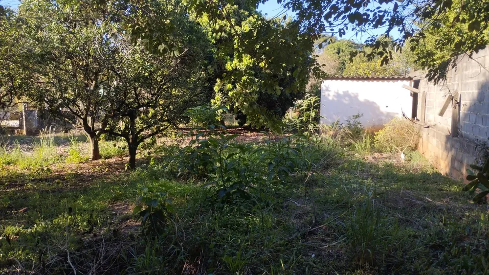 Terreno, 1000 m² - Foto 1