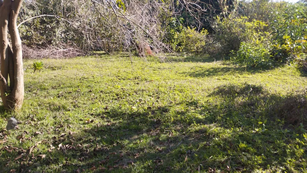 Terreno, 1000 m² - Foto 2