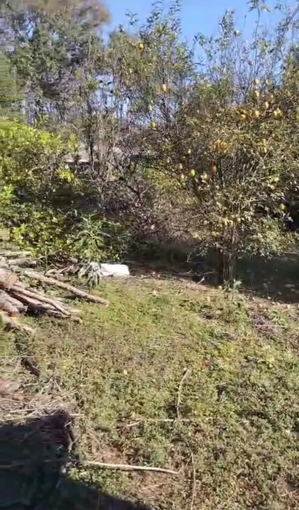 Terreno, 1000 m² - Foto 3
