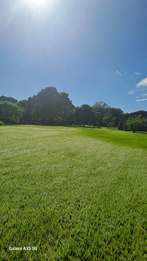 Chácara, 4 quartos, 5000 m² - Foto 15