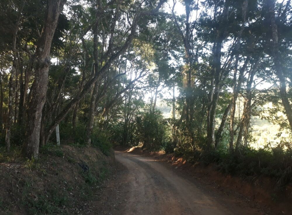 Terreno, 1000 m² - Foto 1