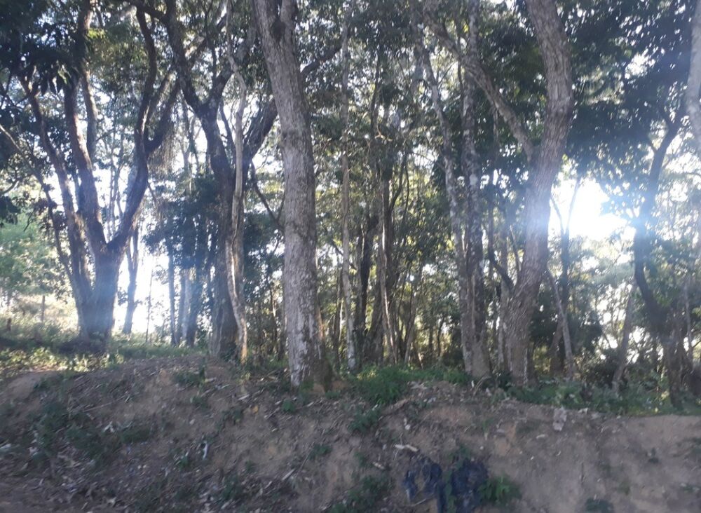 Terreno, 1000 m² - Foto 4