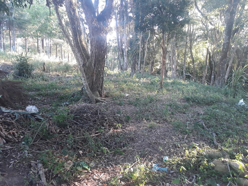 Terreno à venda, 1000m² - Foto 4