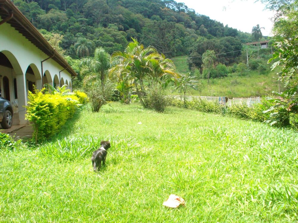 Chácara, 4 quartos, 5000 m² - Foto 13