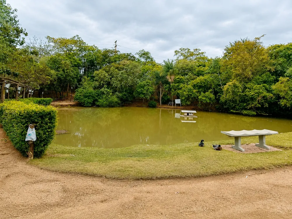 Terreno, 240 m² - Foto 12