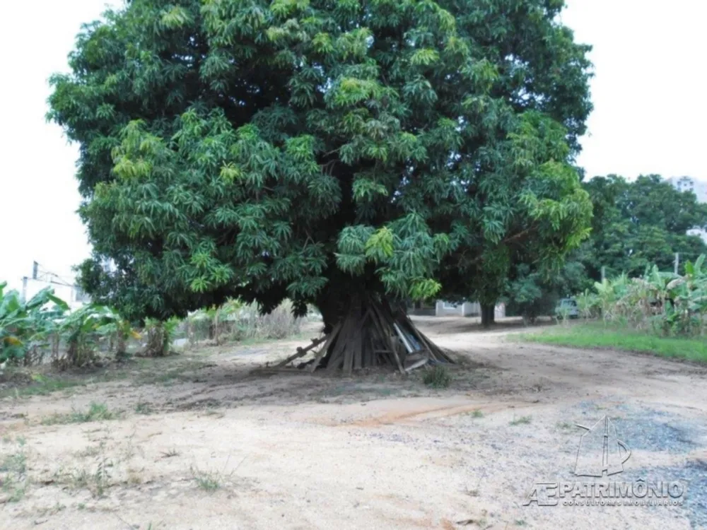 Terreno, 4 hectares - Foto 11