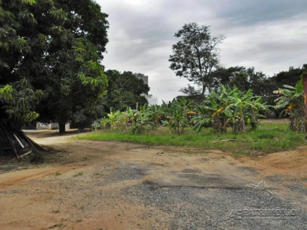 Terreno, 4 hectares - Foto 10
