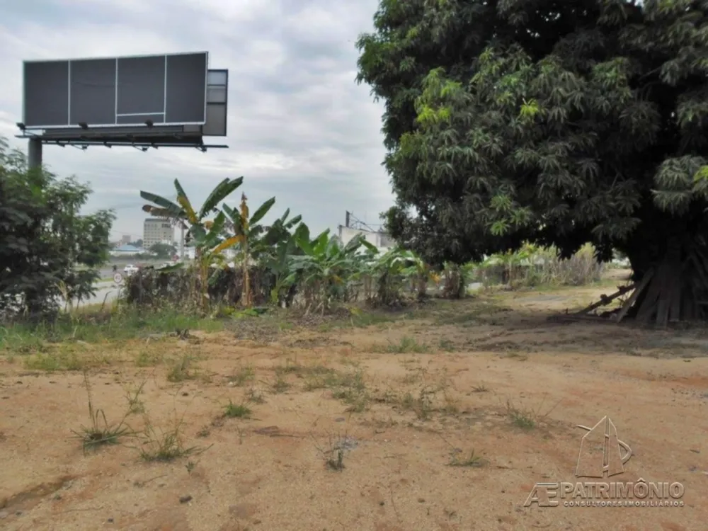 Terreno, 4 hectares - Foto 12