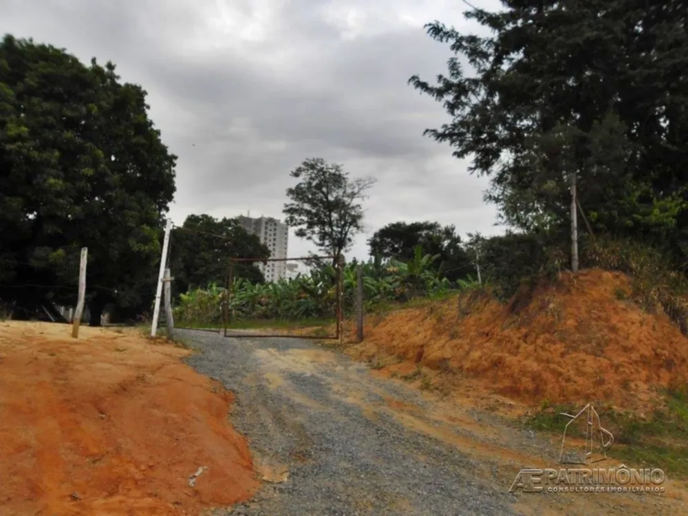 Terreno, 4 hectares - Foto 8