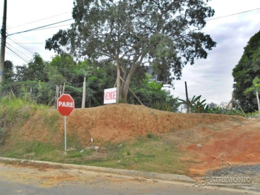 Terreno, 4 hectares - Foto 7