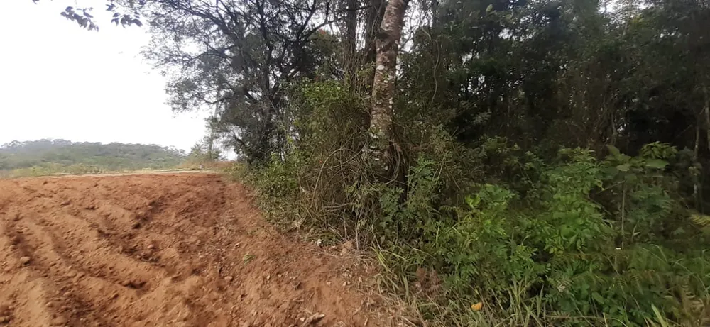 Terreno, 10 hectares - Foto 6