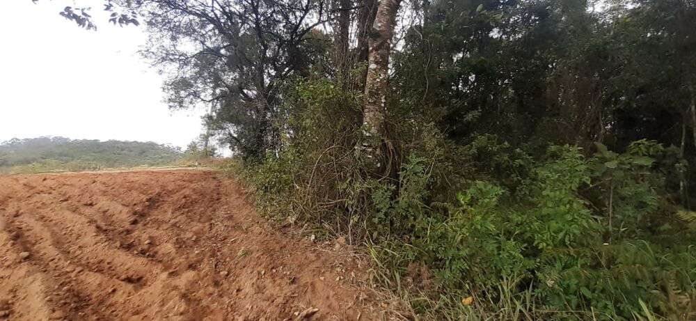 Terreno, 10 hectares - Foto 2