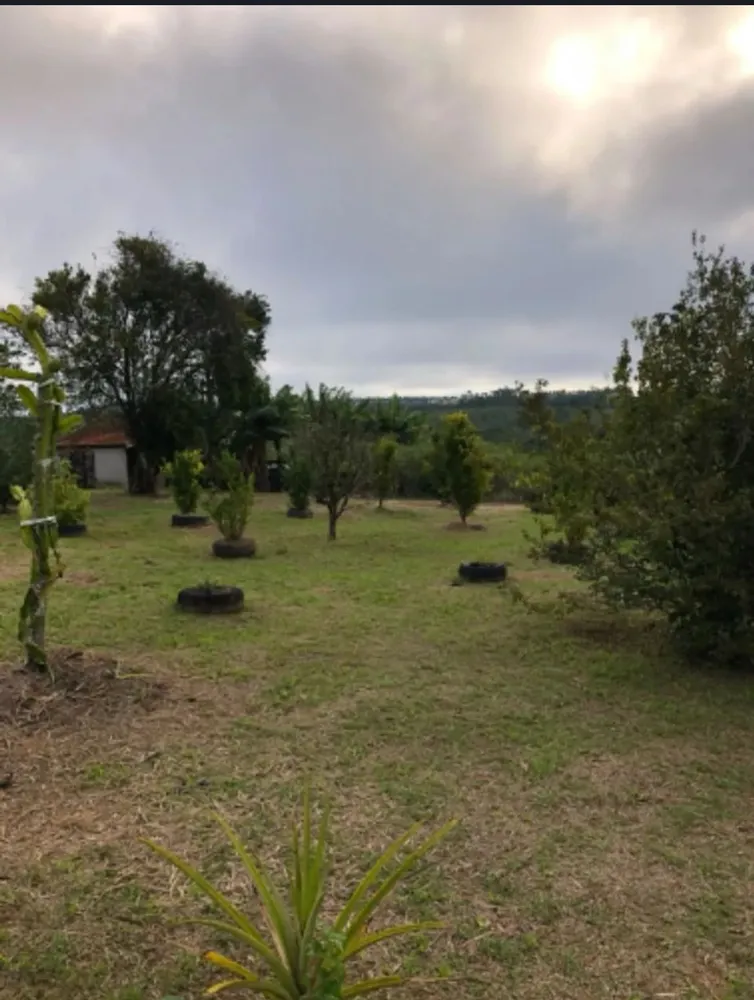 Sítio, 3 quartos, 4 hectares - Foto 10