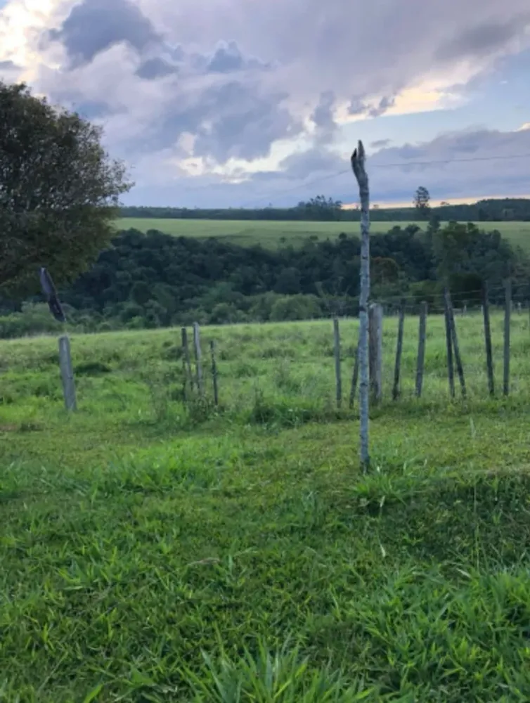 Sítio, 3 quartos, 4 hectares - Foto 12
