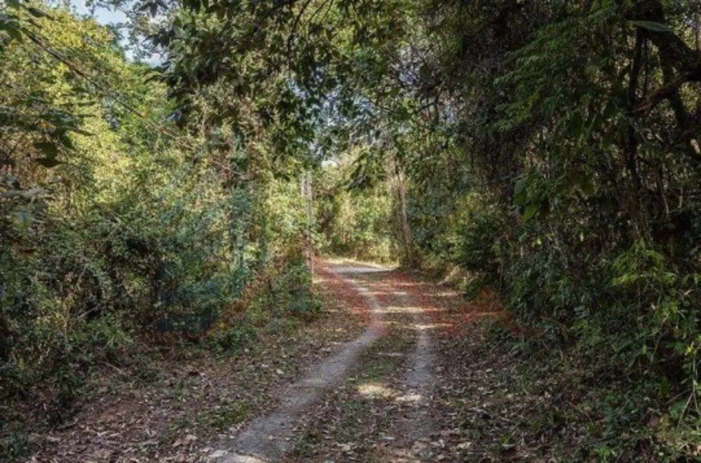 Sítio, 3 quartos, 15 hectares - Foto 12