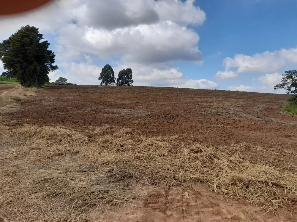 Terreno, 62 hectares - Foto 1