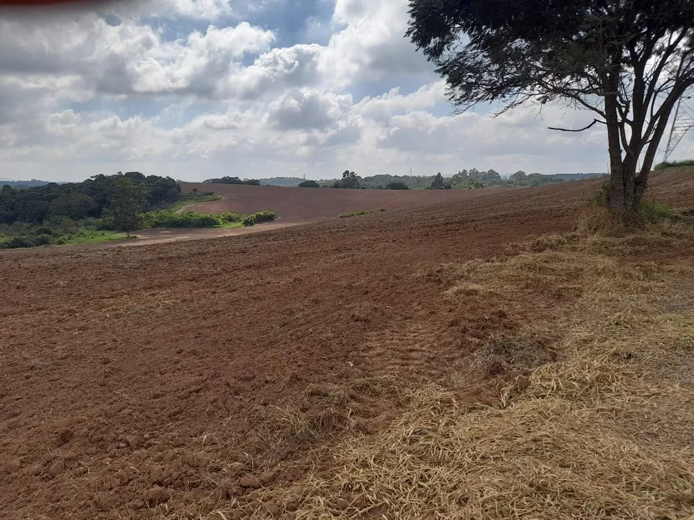 Terreno, 62 hectares - Foto 3