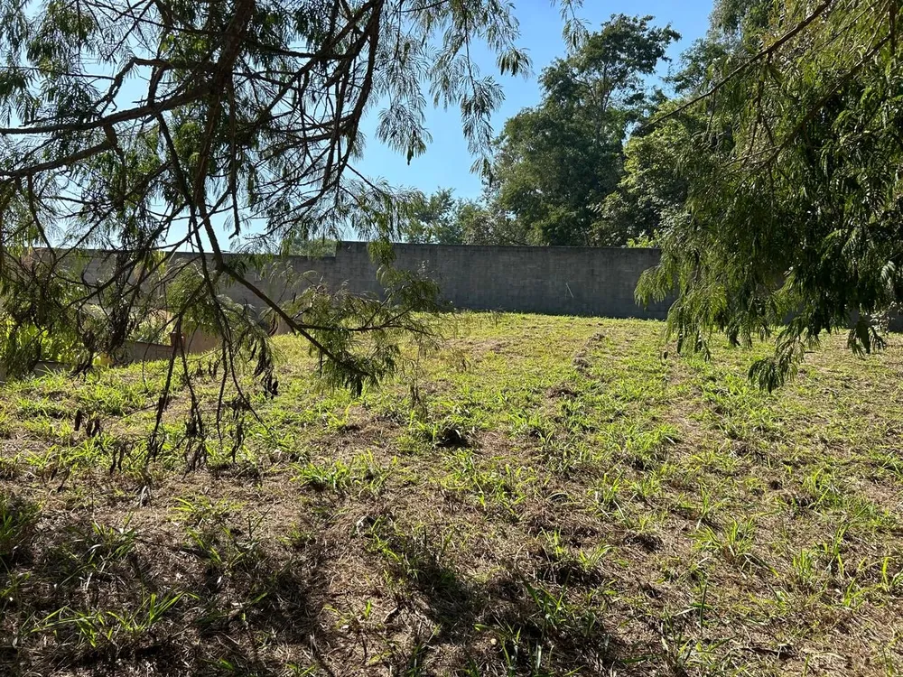 Terreno, 1000 m² - Foto 4