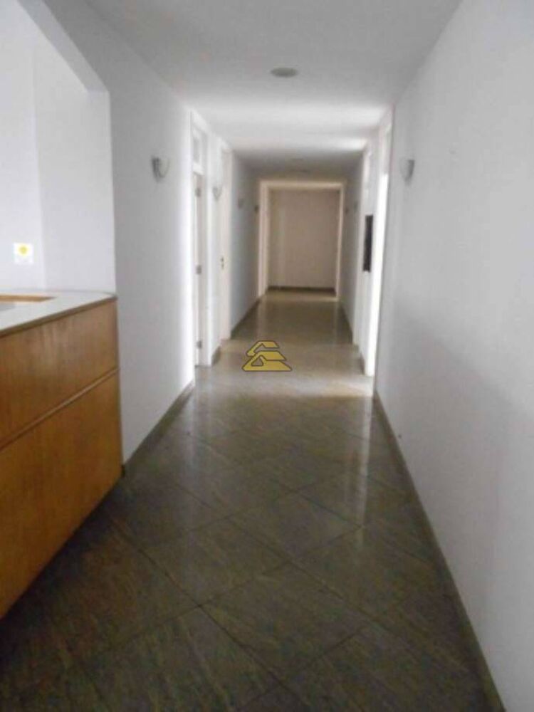 Sala-Conjunto, 296 m² - Foto 3