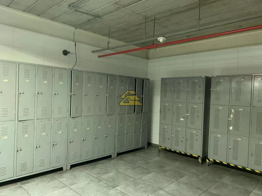 Depósito-Galpão, 30000 m² - Foto 9