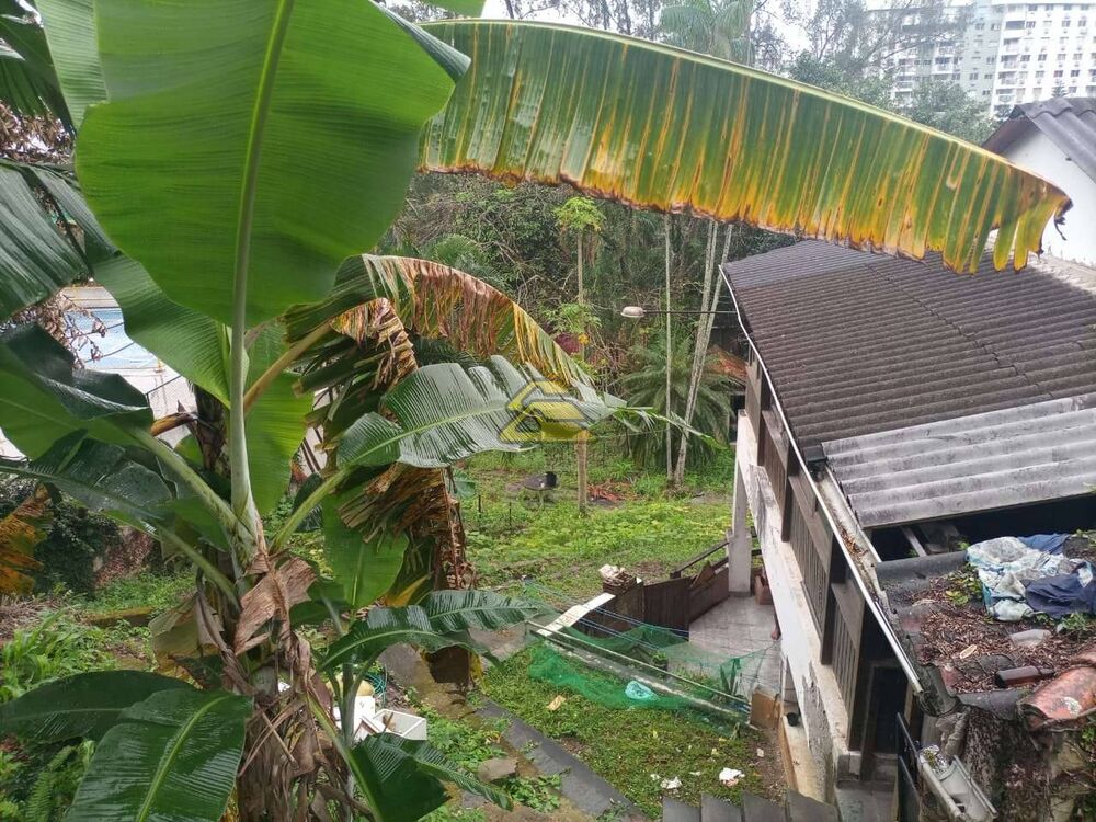 Terreno para alugar, 3000m² - Foto 10