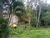 Terreno, 3000 m² - Foto 4