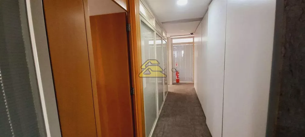 Sala-Conjunto, 296 m² - Foto 3