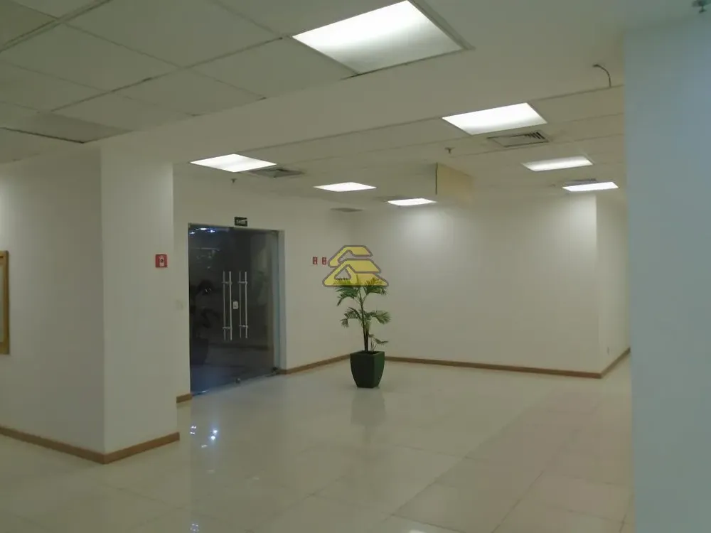 Loja-Salão, 402 m² - Foto 4