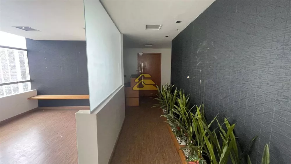 Sala-Conjunto, 300 m² - Foto 5