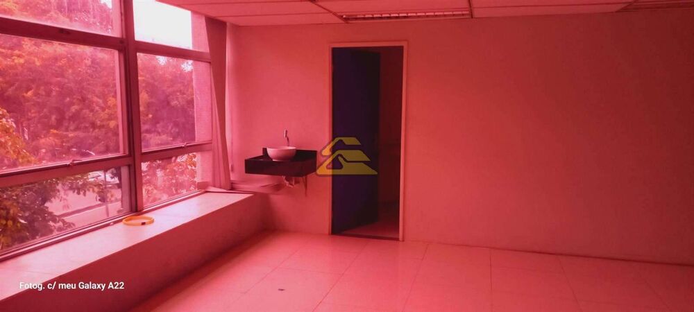 Sala-Conjunto, 1160 m² - Foto 11