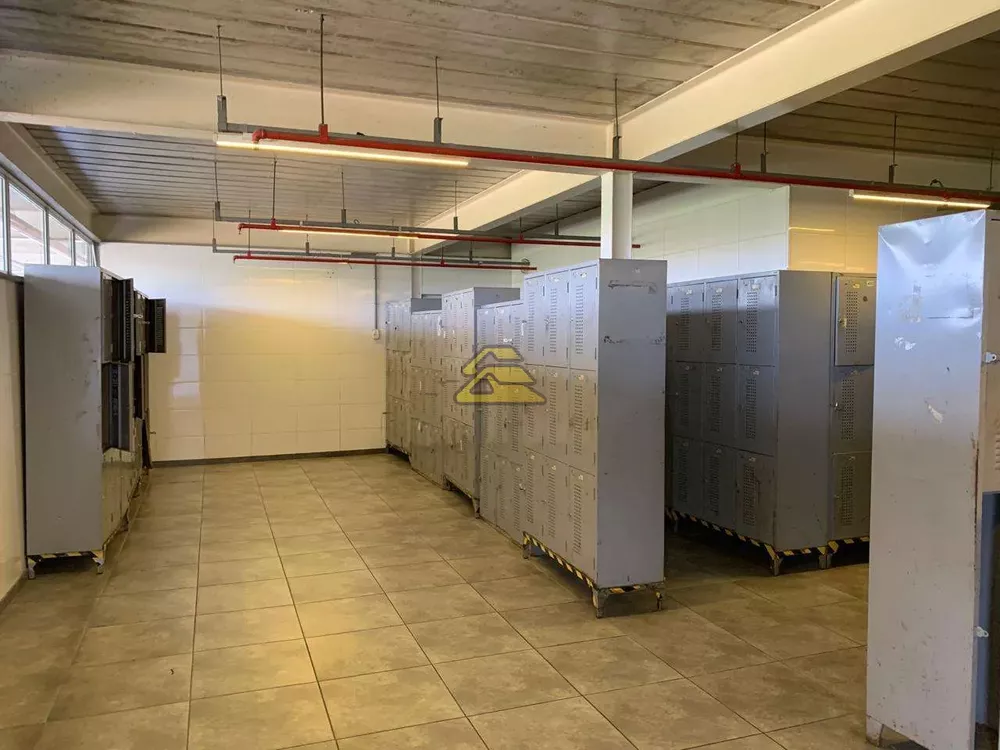 Depósito-Galpão, 4000 m² - Foto 10