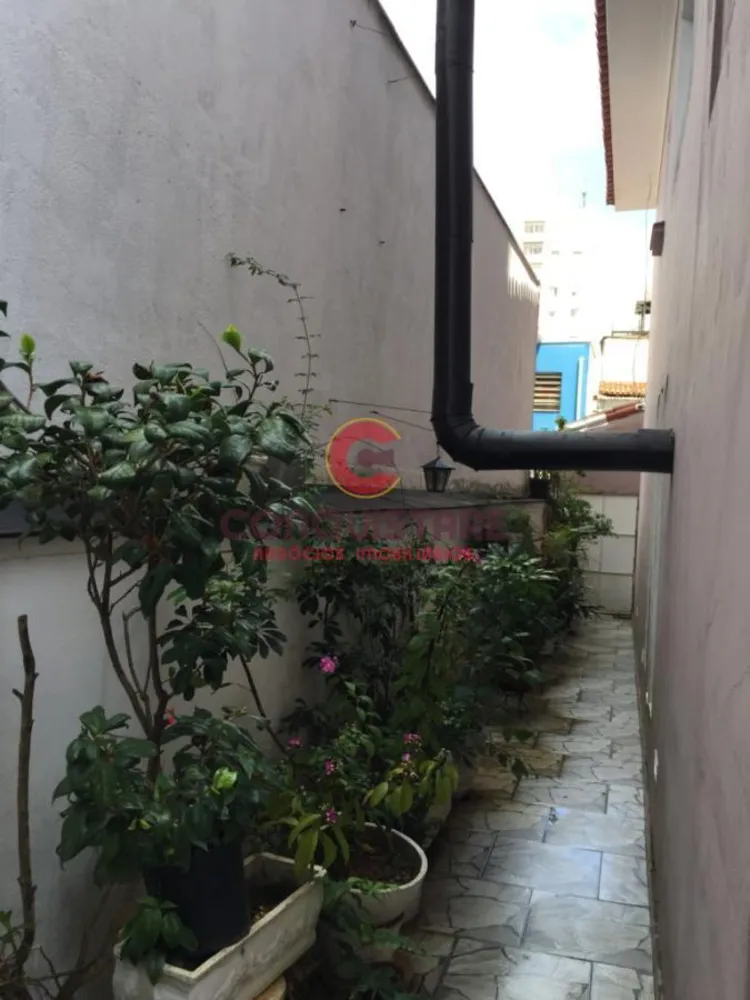 Casa, 6 quartos, 260 m² - Foto 7