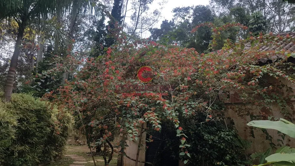 Chácara, 3 quartos, 7000 m² - Foto 7
