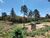 Terreno, 3900 m² - Foto 4