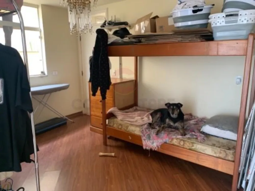 Casa, 4 quartos, 700 m² - Foto 13