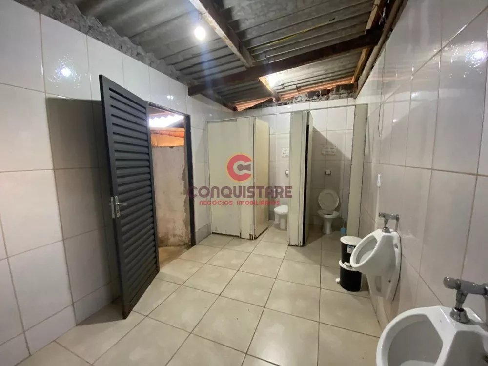 Chácara à venda com 4 quartos, 3200m² - Foto 4