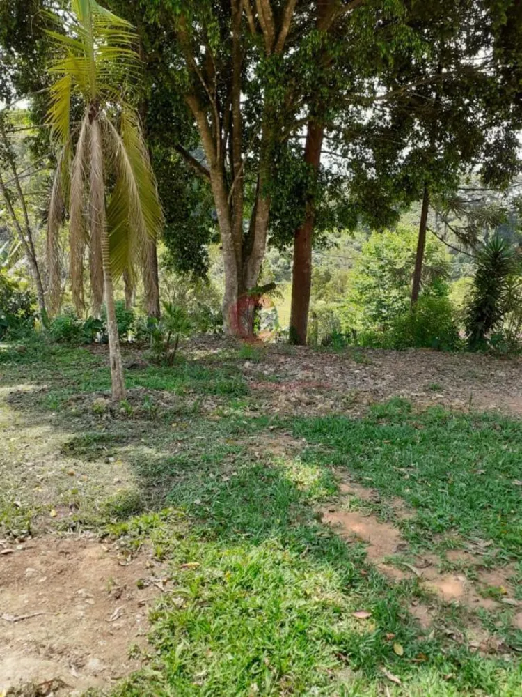Chácara, 6 quartos, 3 hectares - Foto 2