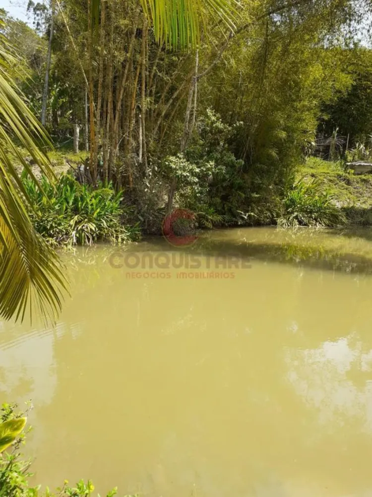Chácara, 6 quartos, 3 hectares - Foto 1