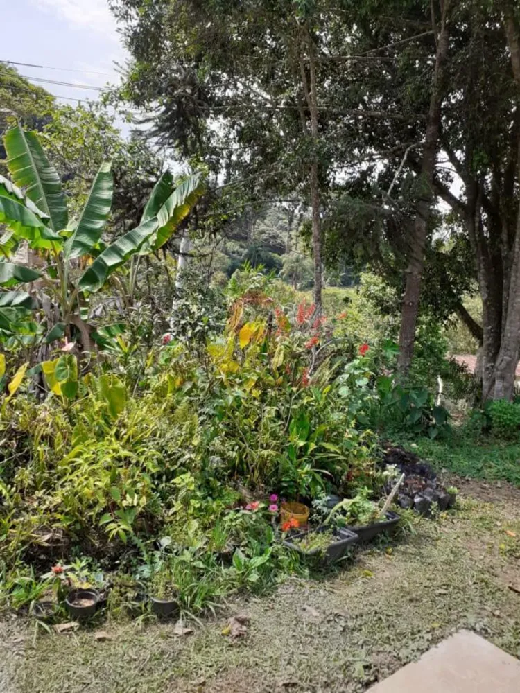 Chácara, 6 quartos, 3 hectares - Foto 4