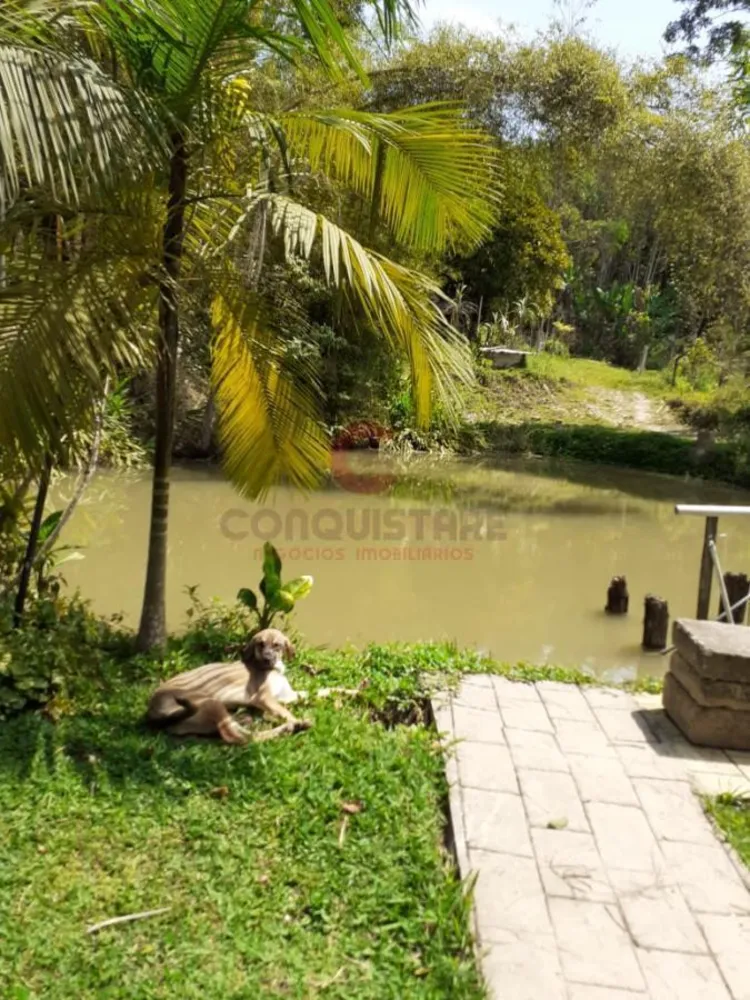 Chácara, 6 quartos, 3 hectares - Foto 3