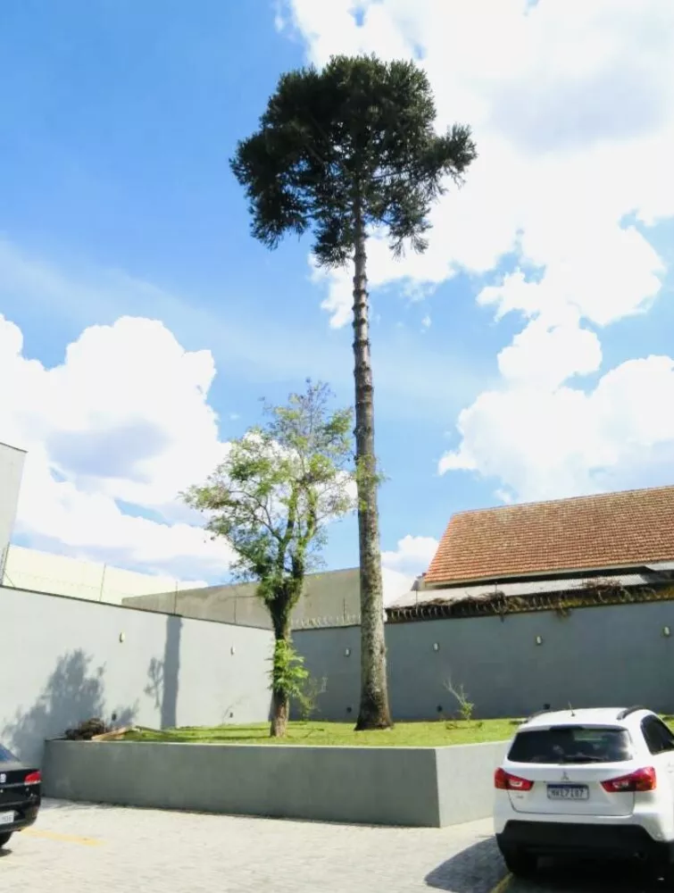 Prédio Inteiro, 541 m² - Foto 2
