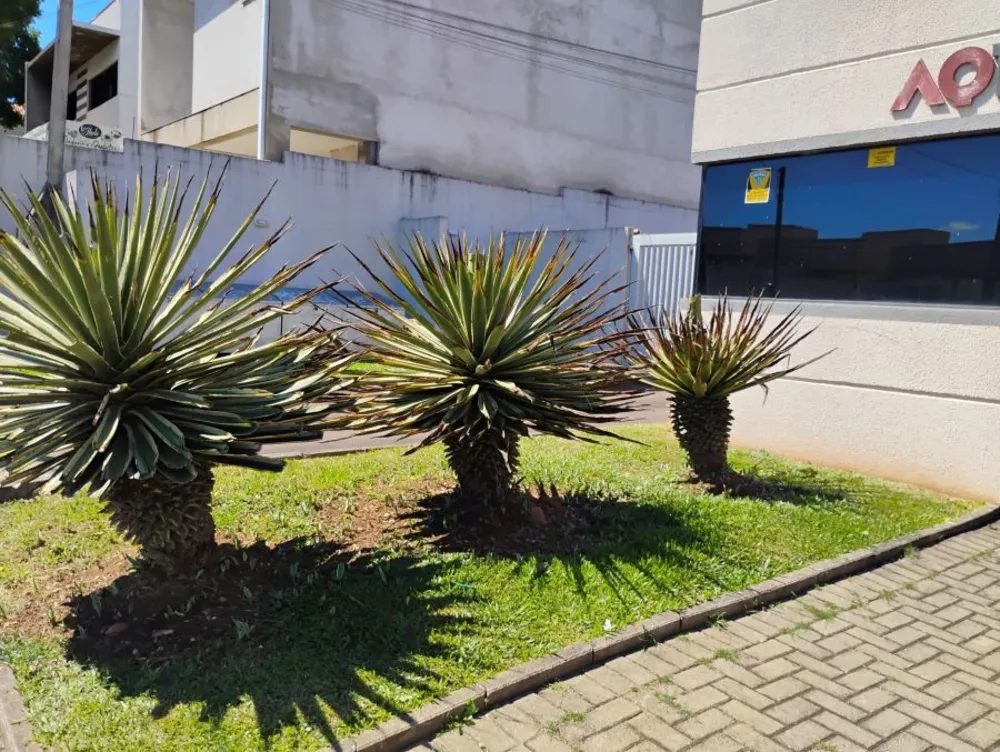 Terreno, 124 m² - Foto 4