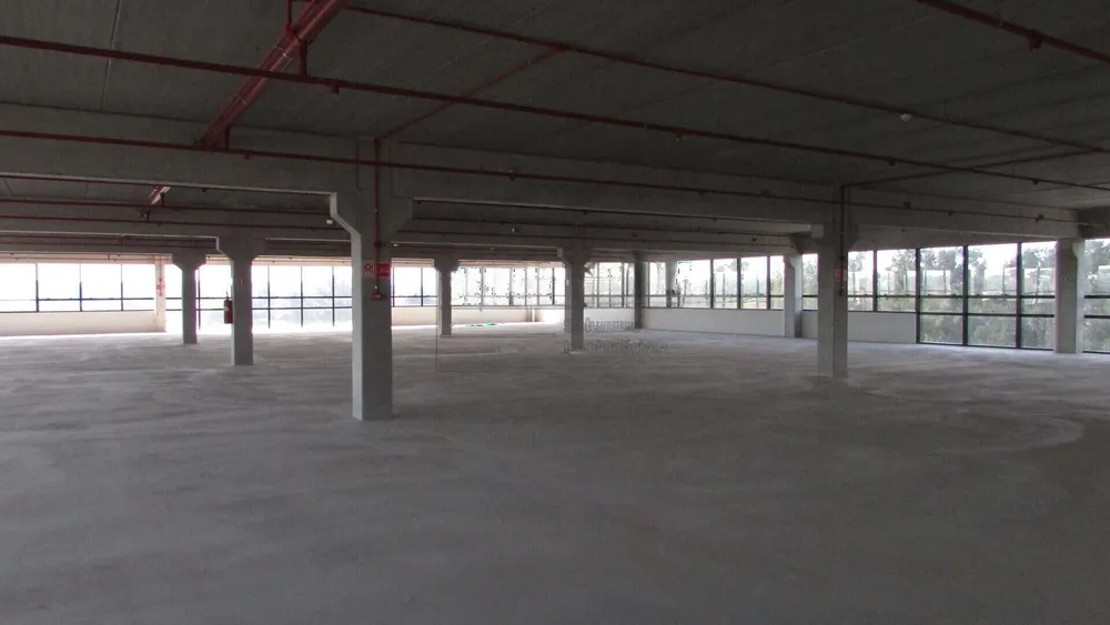 Sala-Conjunto, 1440 m² - Foto 14